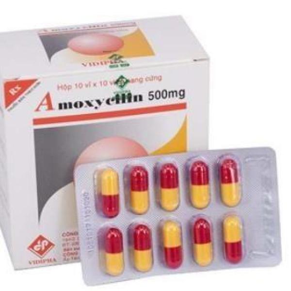 Amoxycilin 500 mg nội